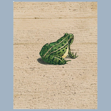 John Derian 11 x 14" Tray - Frog Prince