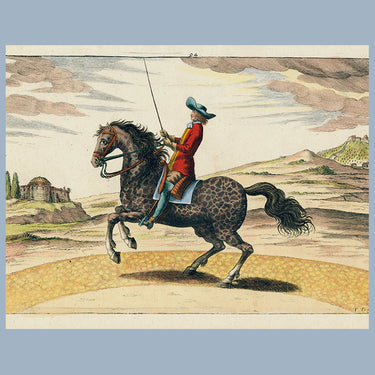 John Derian 11 x 14" Tray - Trainer