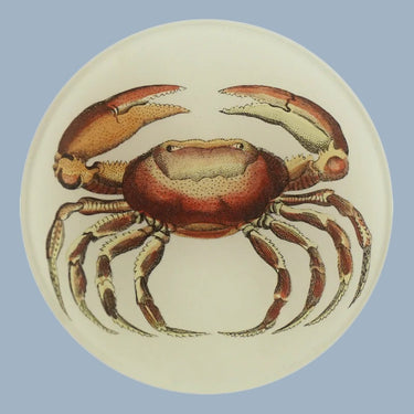 John Derian 4" Round Plate - Oval Crab