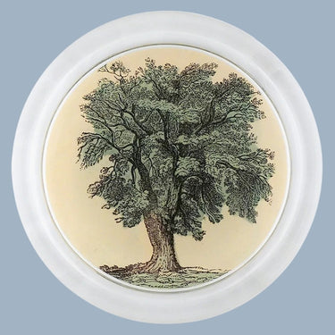 John Derian 6" Coaster - Oak Tree