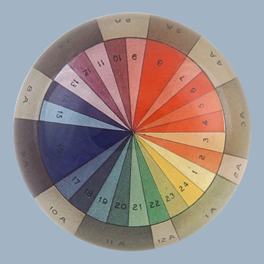 John Derian Dome Paperweight - Color Wheel
