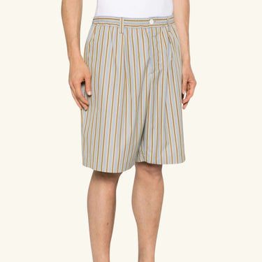 Marni Stripped Shorts - Brown/Blue