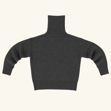 Extreme Cashmere Turtleneck N20 - Felt